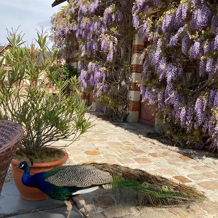 Chateau De Belle Poule Les Ponts-de-Cé
