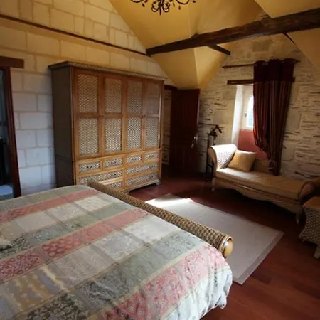 Chateau De Belle Poule Bed & Breakfast Les Ponts-de-Ce