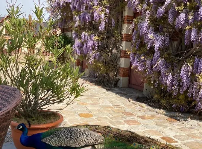 Chateau De Belle Poule Les Ponts-de-Ce