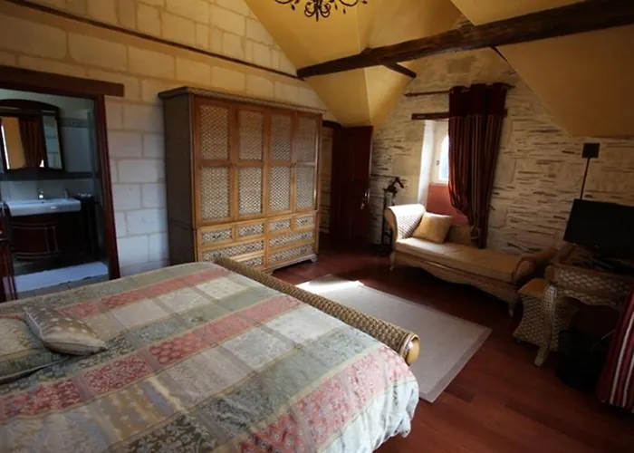 Chateau De Belle Poule Bed & Breakfast Les Ponts-de-Ce